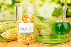 Daill biofuel availability