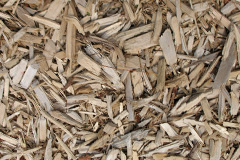 biomass boilers Daill